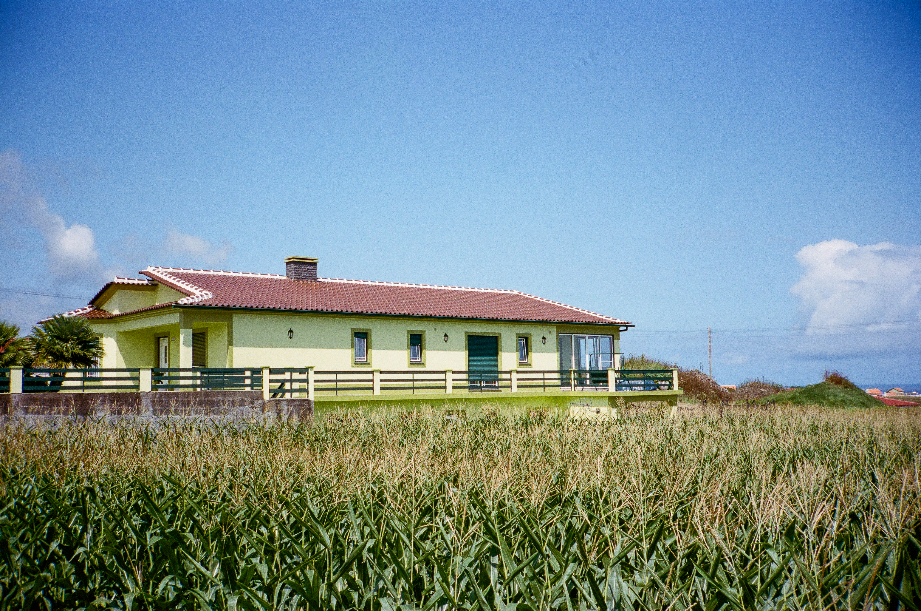Summer on Terceira Island | Contax T2